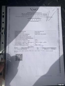 14 sot torpaq sahəsi, Saray qəs.