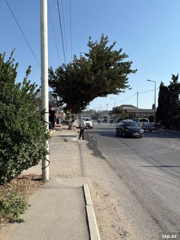 14 sot torpaq sahəsi, Saray qəs.