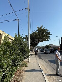 14 sot torpaq sahəsi, Saray qəs.