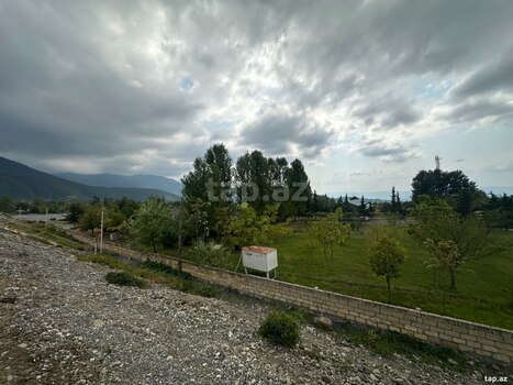 Obyekt icarəyə verilir, Şəki r.