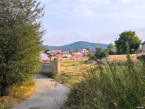 40 sot torpaq sahəsi, Gədəbəy ş.