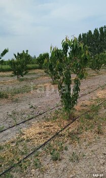 400 sot torpaq sahəsi, Ağdaş r.