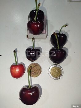 400 sot torpaq sahəsi, Ağdaş r.