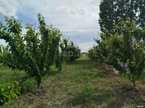 400 sot torpaq sahəsi, Ağdaş r.