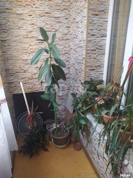 2-otaqlı mənzil kirayə verilir, Xətai r., 60 m²