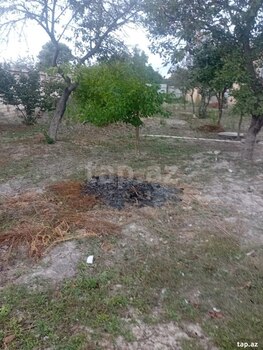 4.5 sot torpaq sahəsi, Nabran r.