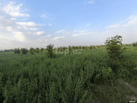 260 sot torpaq sahəsi, Ağdaş r.