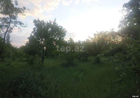 34 sot torpaq sahəsi, Göyçay r.