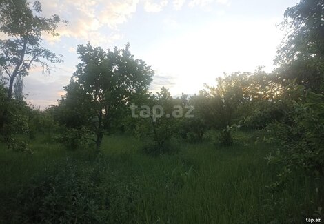 34 sot torpaq sahəsi, Göyçay r.