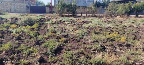 6 sot torpaq sahəsi, Cəlilabad r.