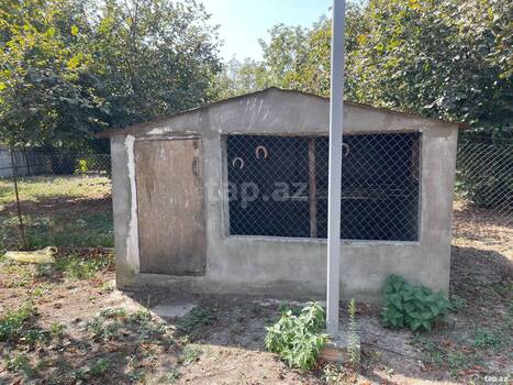 Həyət evi, Oğuz r.