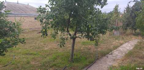 3-otaqlı yeni tikili, Tovuz r., 80 m²