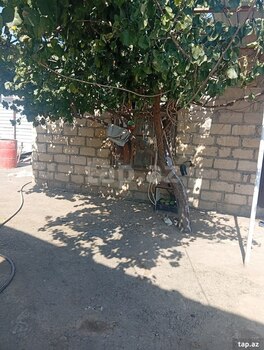 Həyət evi, Bərdə r.