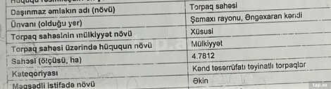 479 sot torpaq sahəsi, Şamaxı ş.
