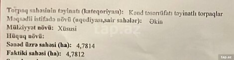 479 sot torpaq sahəsi, Şamaxı ş.