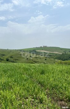 479 sot torpaq sahəsi, Şamaxı ş.
