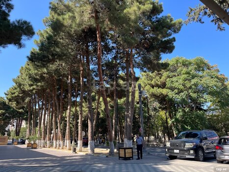 2-otaqlı yeni tikili kirayə verilir, Xırdalan ş., 55 m²
