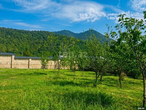 Villa kirayə verilir, 28 May küç.