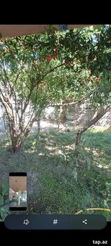 Həyət evi, Şəki ş.