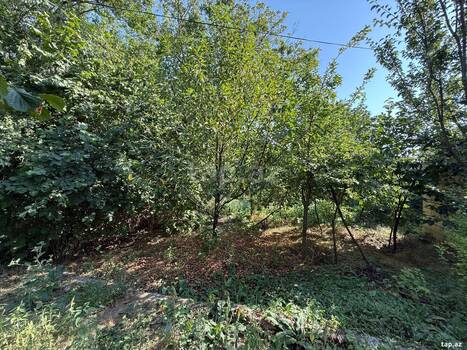 Həyət evi, İsmayıllı r.