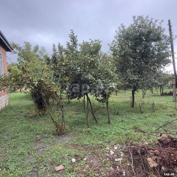 Bağ evi, Göyçay r.