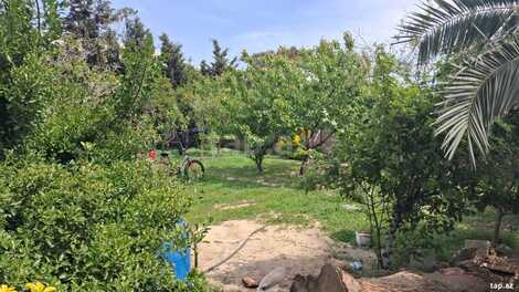 19 sot torpaq sahəsi, Corat k.