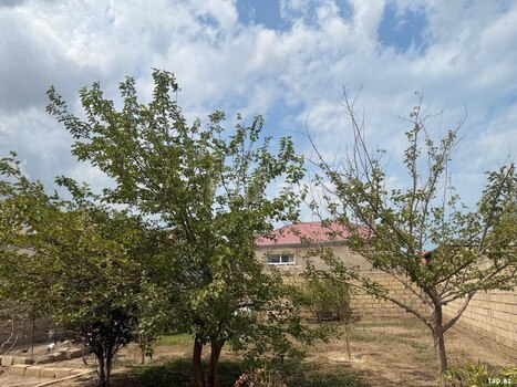 Həyət evi, Saray qəs.