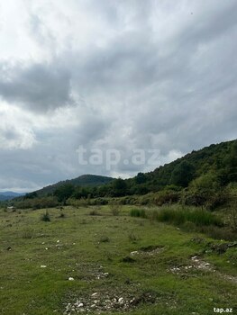 1000 sot torpaq sahəsi, Quba r.