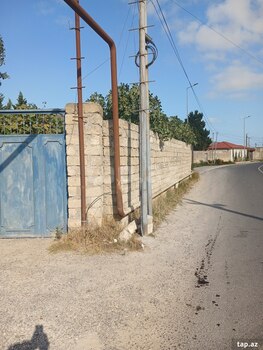 3 sot torpaq sahəsi, Albalı qəs.