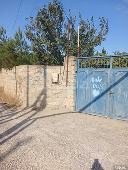3 sot torpaq sahəsi, Albalı qəs.