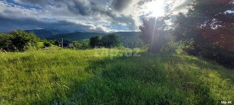 8 sot torpaq sahəsi, Zeyvə kəndi