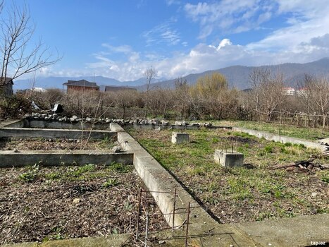 5 sot torpaq sahəsi, Zaqatala r.