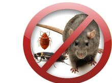 Həşəratlar əleyhinə dezinfeksiya