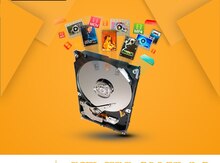 Sərt disk "Seagate Video", 500GB HDD (Hard disk)