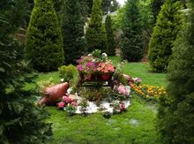 Yaşıllaşdırma işləri