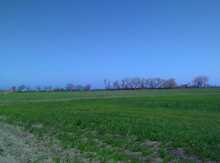 120 sot torpaq sahəsi, Sabirabad r.