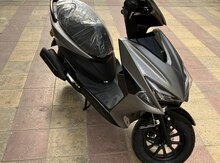 Gusite New Joc, 2022 il