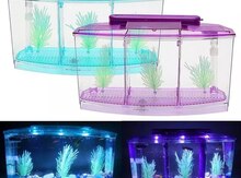 Akvarium
