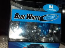 "H7 Blue White 100w" lampalar