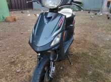 Moped, 2020 il