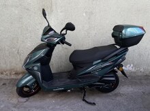 Moped 2022 il