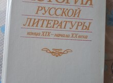 История русской литературы конца 19 - начала 20 века