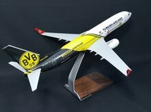 Model "Aircraft Boeing 737-800 Turkish Airline"
