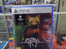 PlayStation 5 oyunu "Stray"