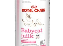 Baby cat milk