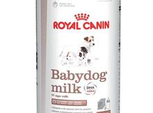 Babydog milk