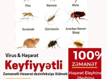 Dezinfeksiya xidməti 