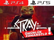 PS4 / PS5 "Stray" oyunu