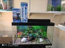 Akvarium
