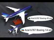 "Azerbaijan Airlines 787 Plane" modeli